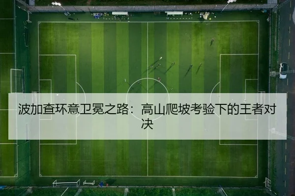 bo-jia-cha-huan-yi-wei-mian-zhi-lu-gao-shan-pa-po-kao-yan-xia-de-wang-zhe-dui-jue-2-710.jpg
