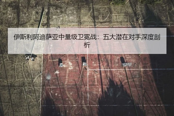 yi-si-li-a-di-sa-ya-zhong-liang-ji-wei-mian-zhan-wu-da-qian-zai-dui-shou-shen-du-pou-xi-2-158.jpg